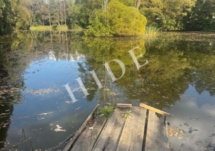product_image_13