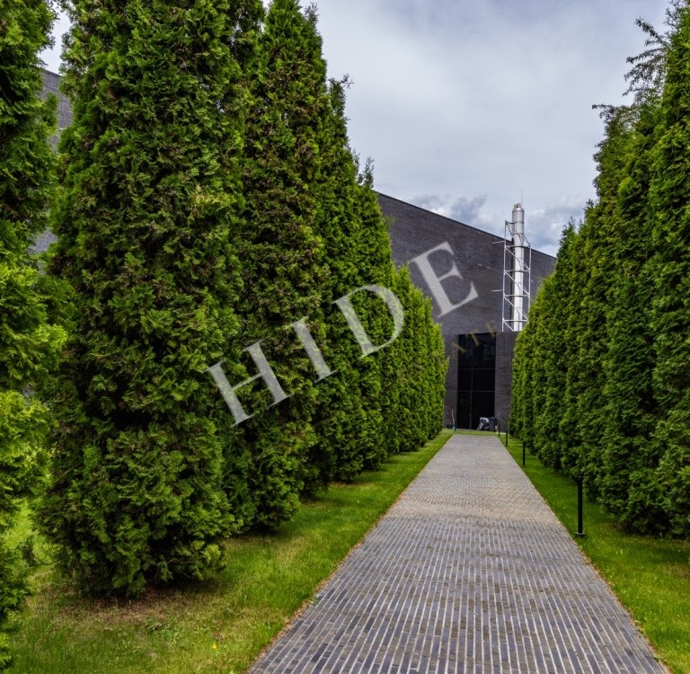 product_image_42