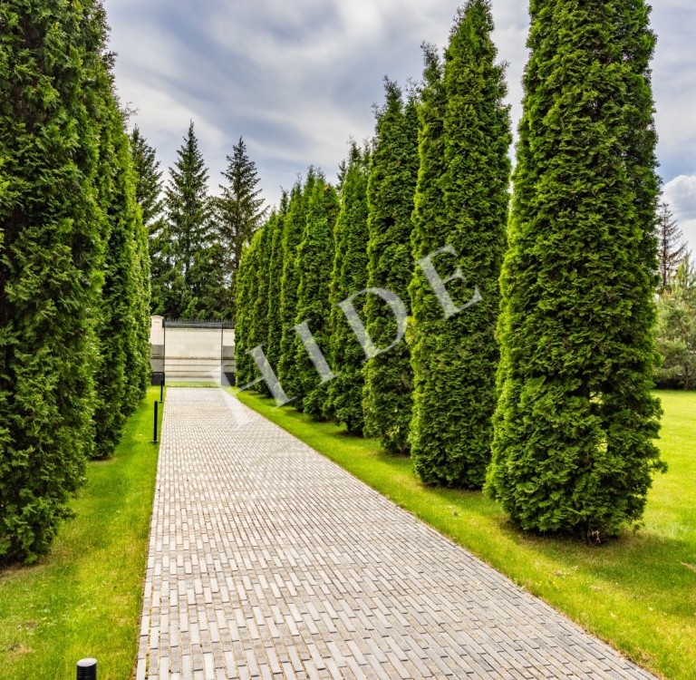 product_image_43