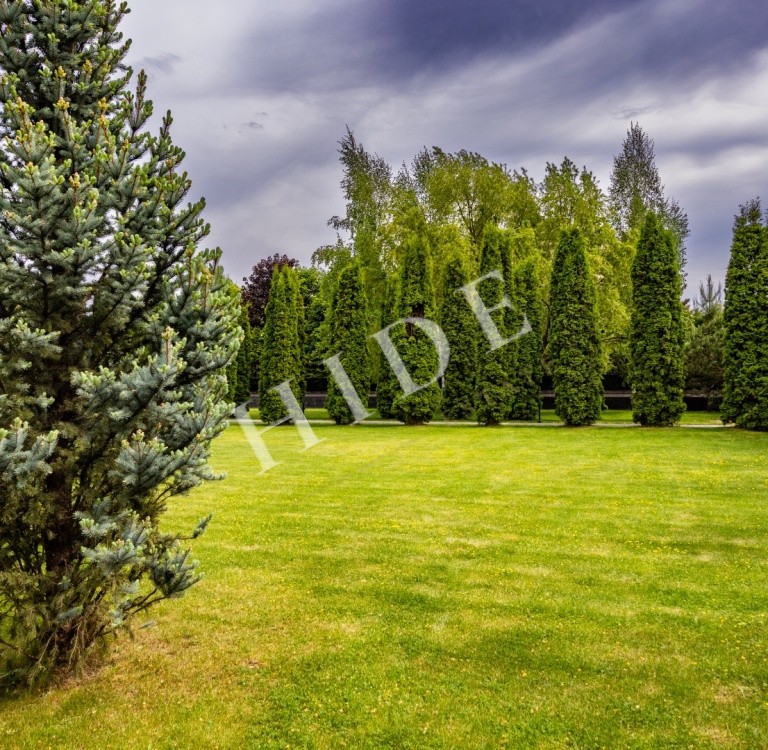 product_image_46