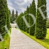 thumb_image_43