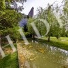 thumb_image_4
