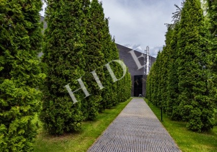 product_image_42