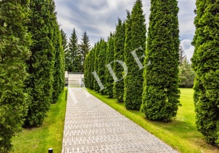 product_image_43