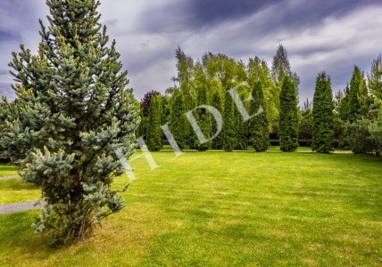 product_image_46