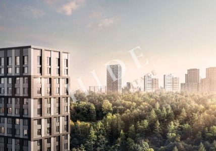 product_image_5
