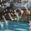 thumb_image_6