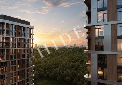 product_image_1
