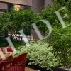 thumb_image_4