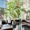 thumb_image_5