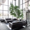 thumb_image_6