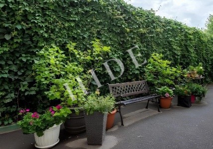 product_image_4
